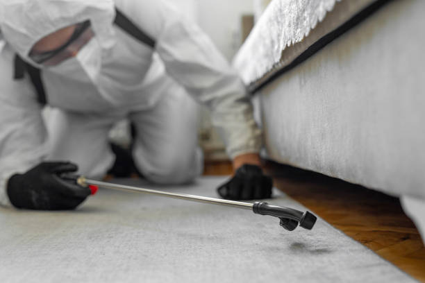 Professional Termite Control technician working in Grand Haven, MI
