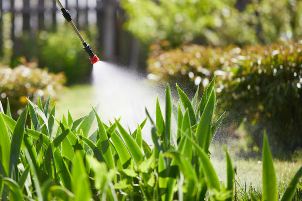 24/7 Emergency Termite Control experts in Grand Haven, MI