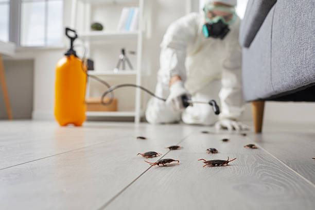 Trusted Rodent Control service in Grand Haven, MI - Nex Pest Control