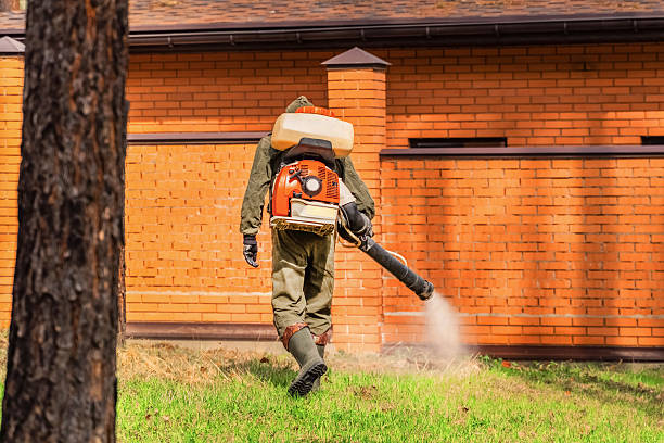 Trusted Ant Control service in Grand Haven, MI - Nex Pest Control